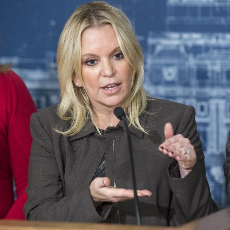 Senator Karin Housley