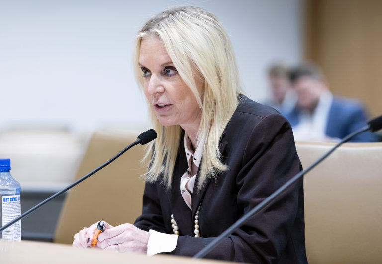 Senator Karin Housley