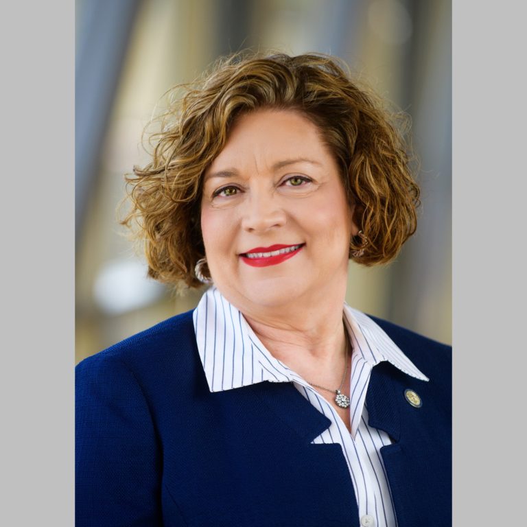 Senator Carla Nelson new headshot