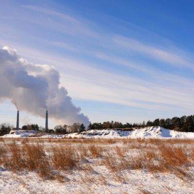 Becker plant